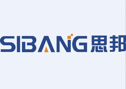 重慶思邦網絡股份